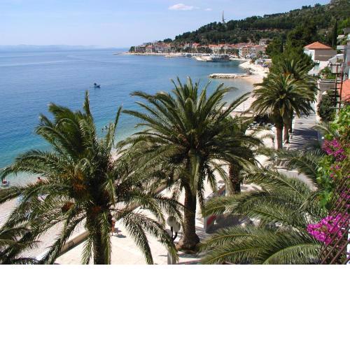 Villa DELFINA