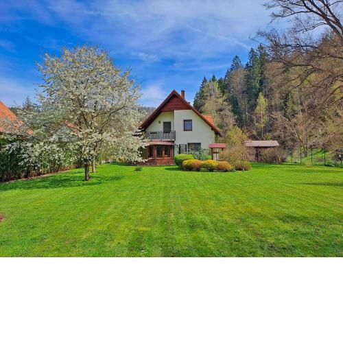 Villa Gejzir 37