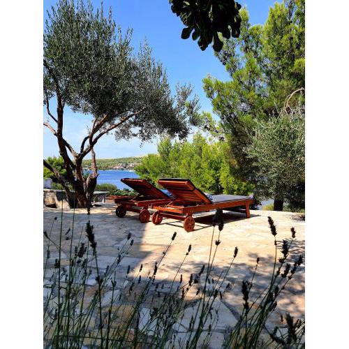 Villa Gjardini - Sparadici