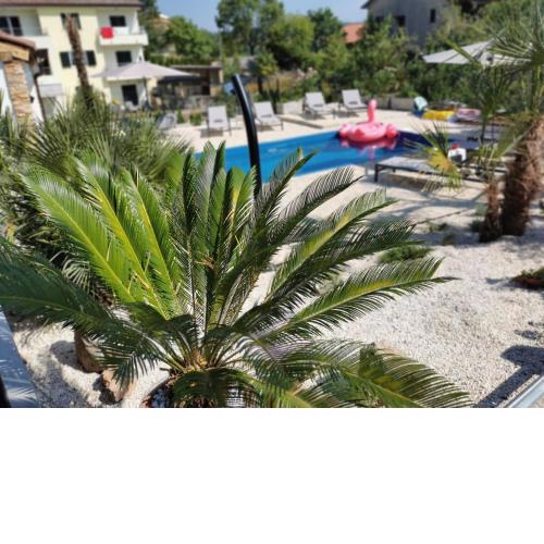 Villa Jolly