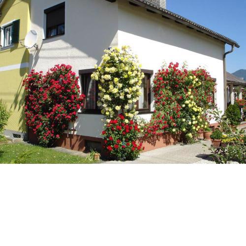Villa Lindwurm
