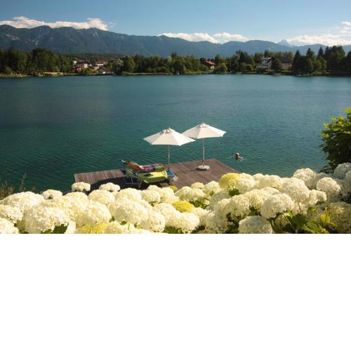 Villa Mayr