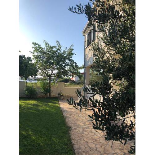 Villa Olive Grove Ferienhaus in Kroatien direkt am Meer nahe Zadar und Nin