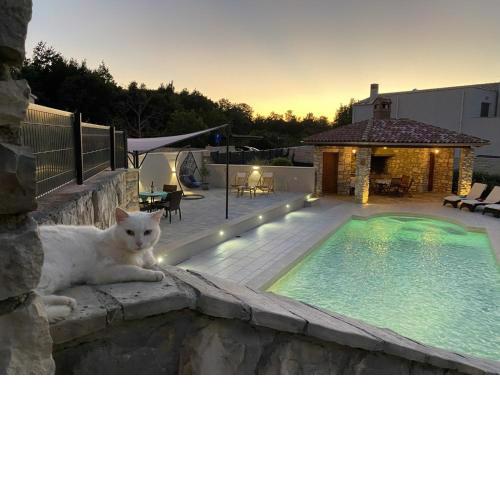 Villa Rose