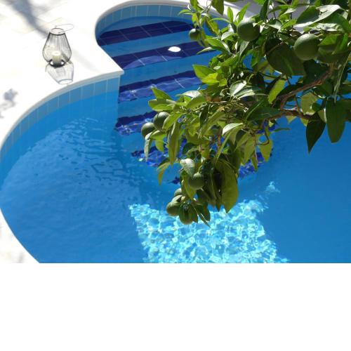 Villa Rose