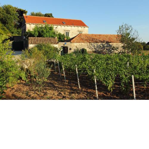 Villa Violić