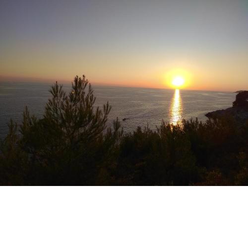 Villa ZORA, Starigrad Paklenica, Seline