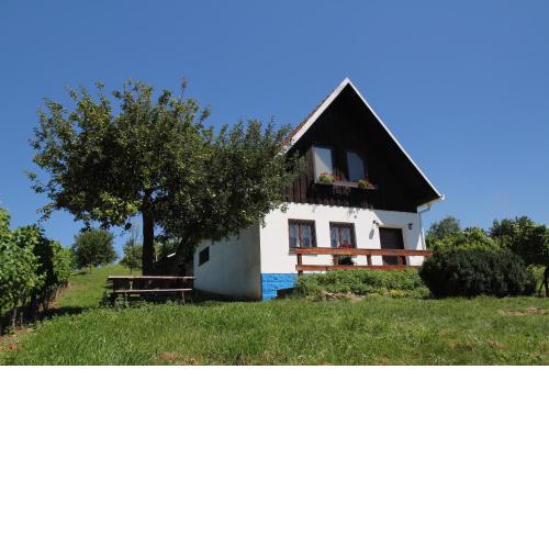 Vinný sklep U Ilčíků