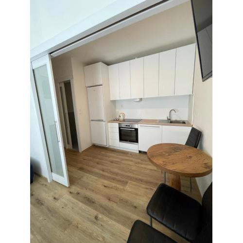 Vintage Apartment Ostrava center city