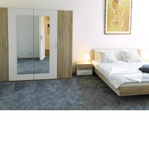 VIP city CENTER apartment Prague