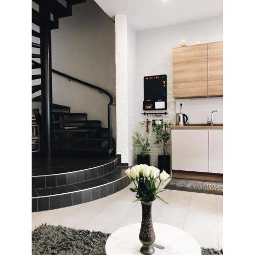Visiani apartment