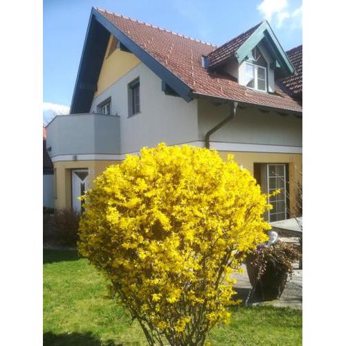 Vronis-Apartment