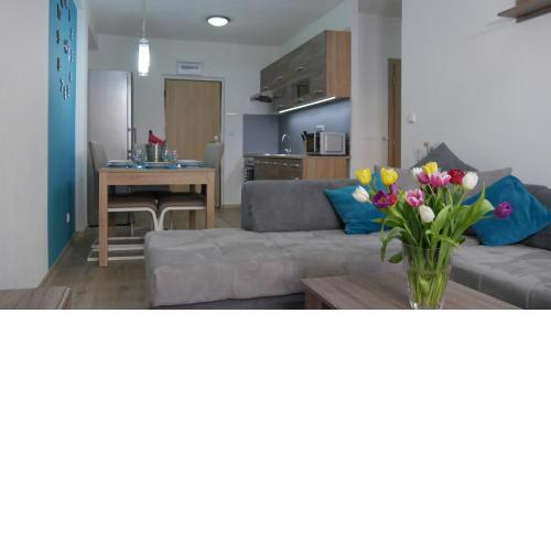 Všemina Apartman