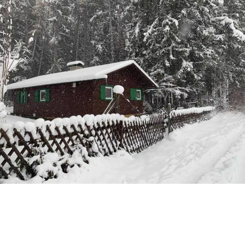 Waldchalet am Eichhof