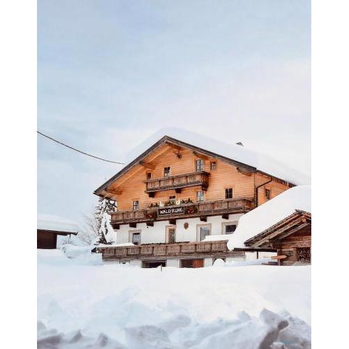 Waldruhe Appartements