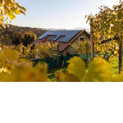 Weinberghaus am Burgstallkogel