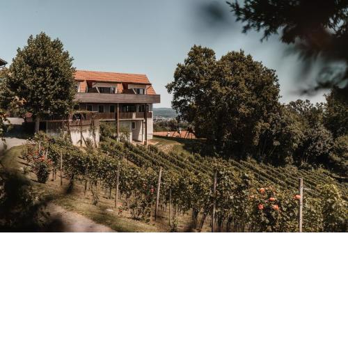 Weingut Assigal