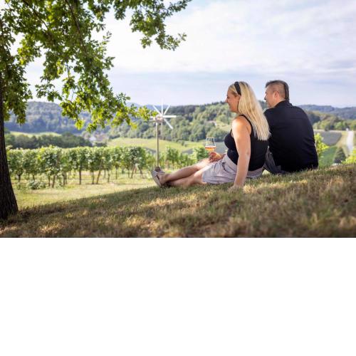Weingut Dietl