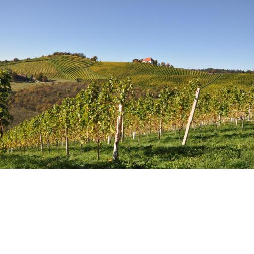 Weingut Kögl
