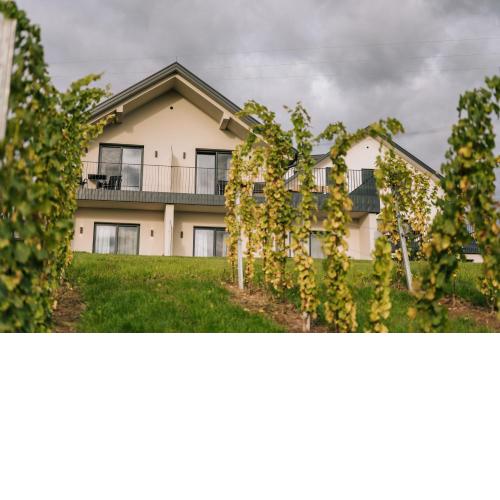 Weingut Radl