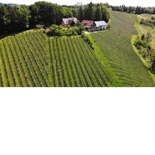 Weingut spitzyPeitler