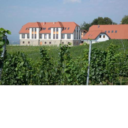 Weingut Taggenbrunn