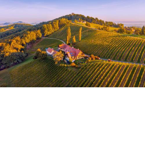 Weingut Winzerzimmer Rothschädl