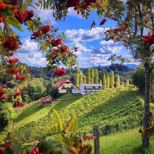 Weingut Winzerzimmer Toso