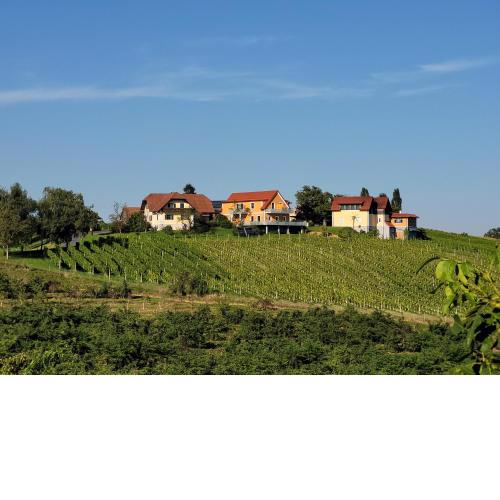 Weinhof Reichmann