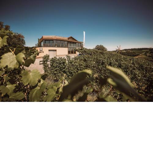 Weinhotel Maitz Wolfgang