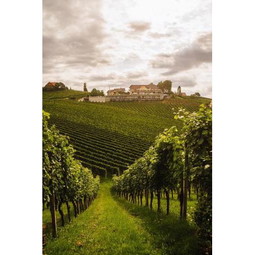 Weinrefugium Brolli