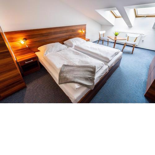 WELLNESS HOTEL FRYMBURK APARTMAN 502C