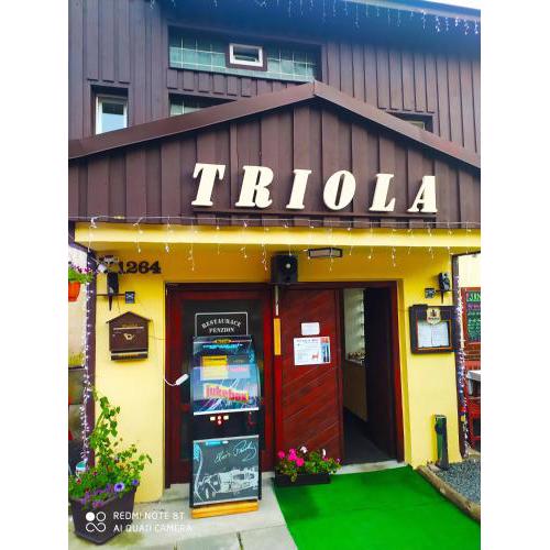 WELLNESS Penzion Triola