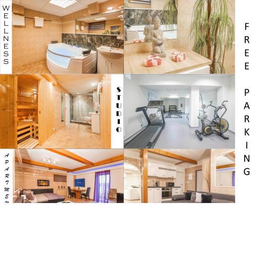 Wellness studio! Finnish sauna, Whirlpool, Gym & more!
