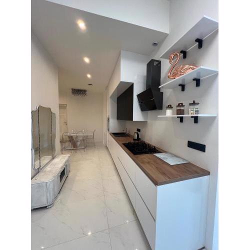 Wenceslas square apartment 150 m2