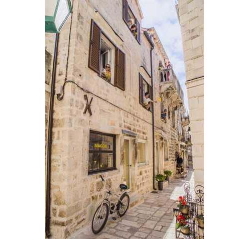 White Rabbit Hostel