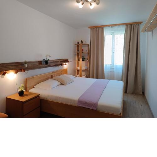 Wien-Vienna Homestay