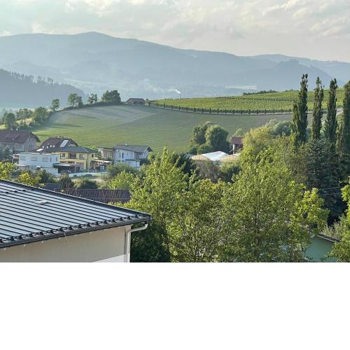 Wohlfühlurlaub in Ferienwohnung mit Badeteich