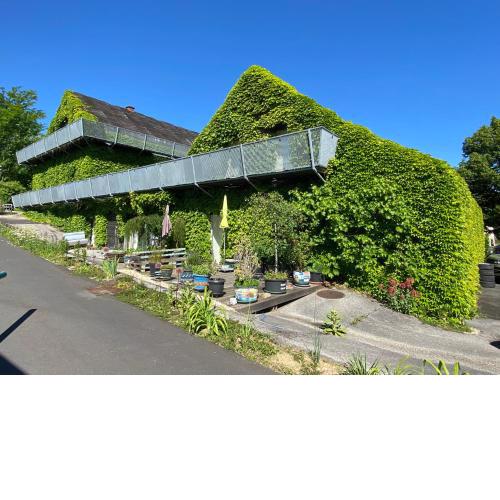 Wohnen zwischen Golf und Therme