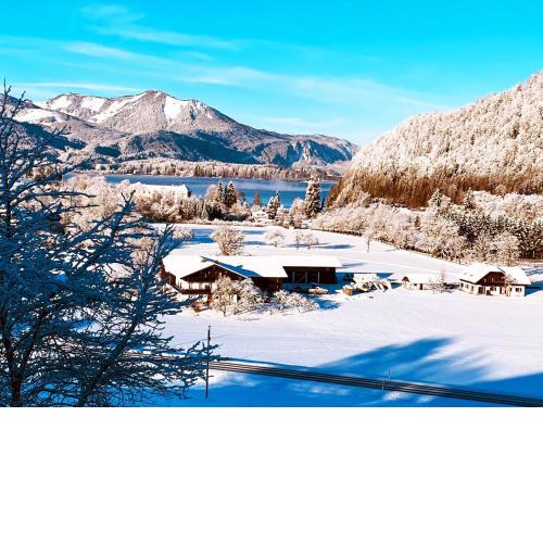 Wolfgangsee Seeblickplatzl