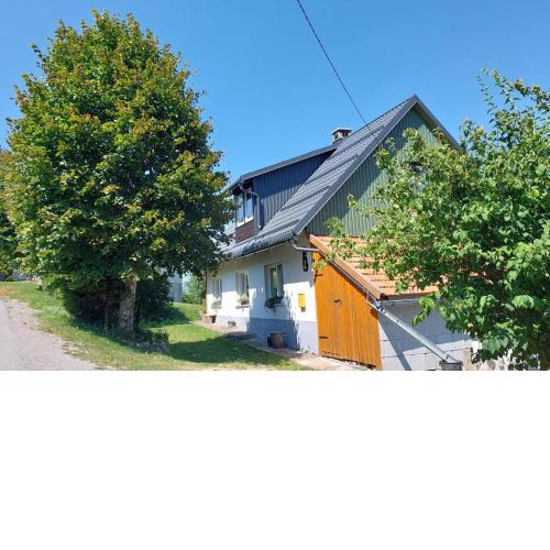 Zeleni brig