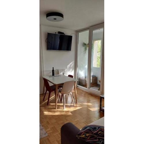 Zg City suite