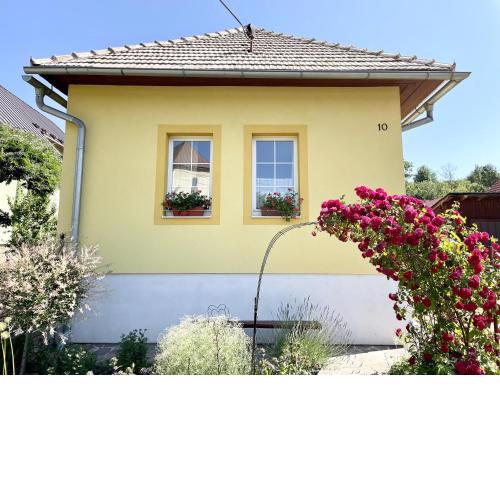 Žltý domček - Apartmán Švábovce