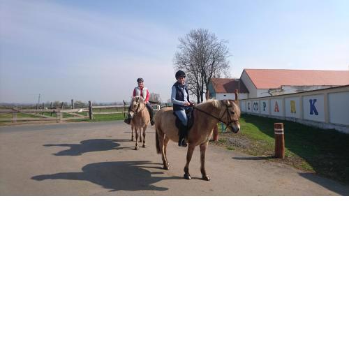 ZOOPARK Zelčín