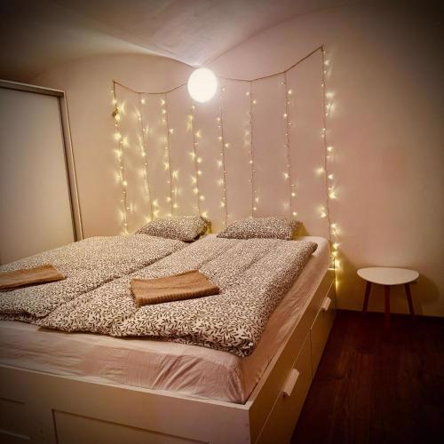 Zoubkova apartment - 2 rooms near exhibition center